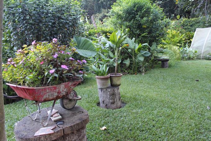 Bed & Breakfast Casa Buho
