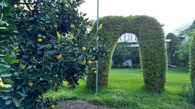 Bed & Breakfast Casa Buho Antigua