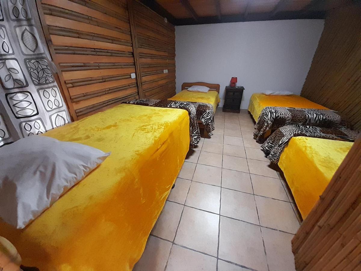 Casa Buho Bed & Breakfast Antigua