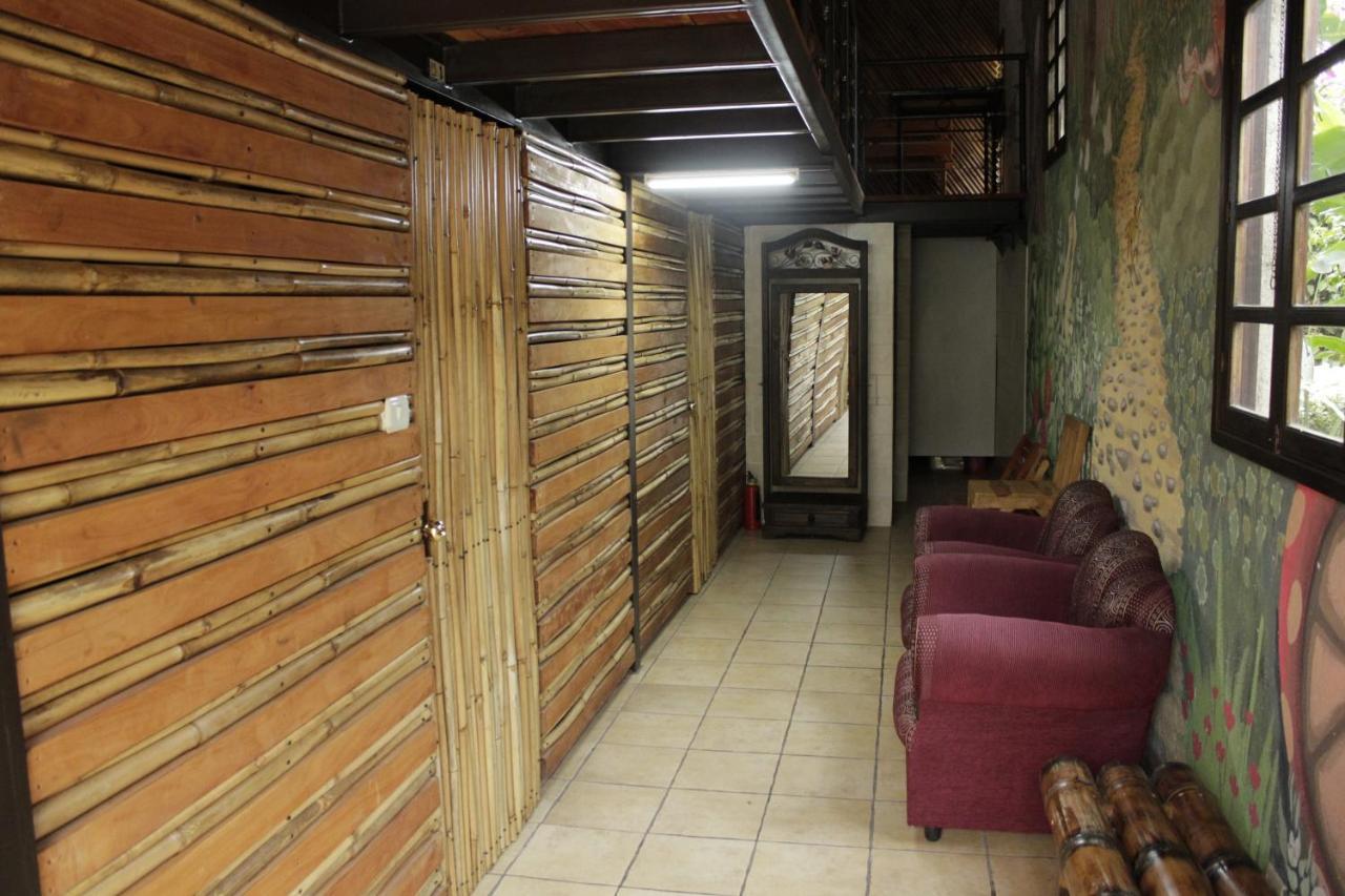 Casa Buho Bed & Breakfast