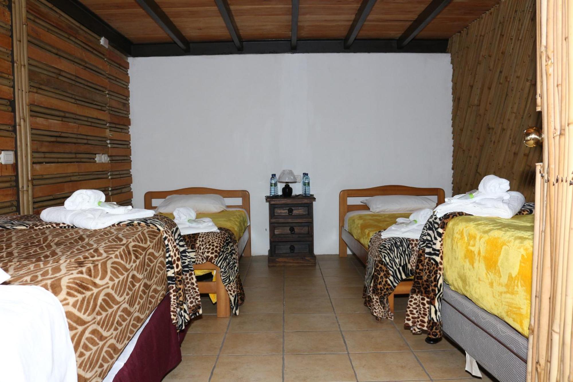 Casa Buho Bed & Breakfast